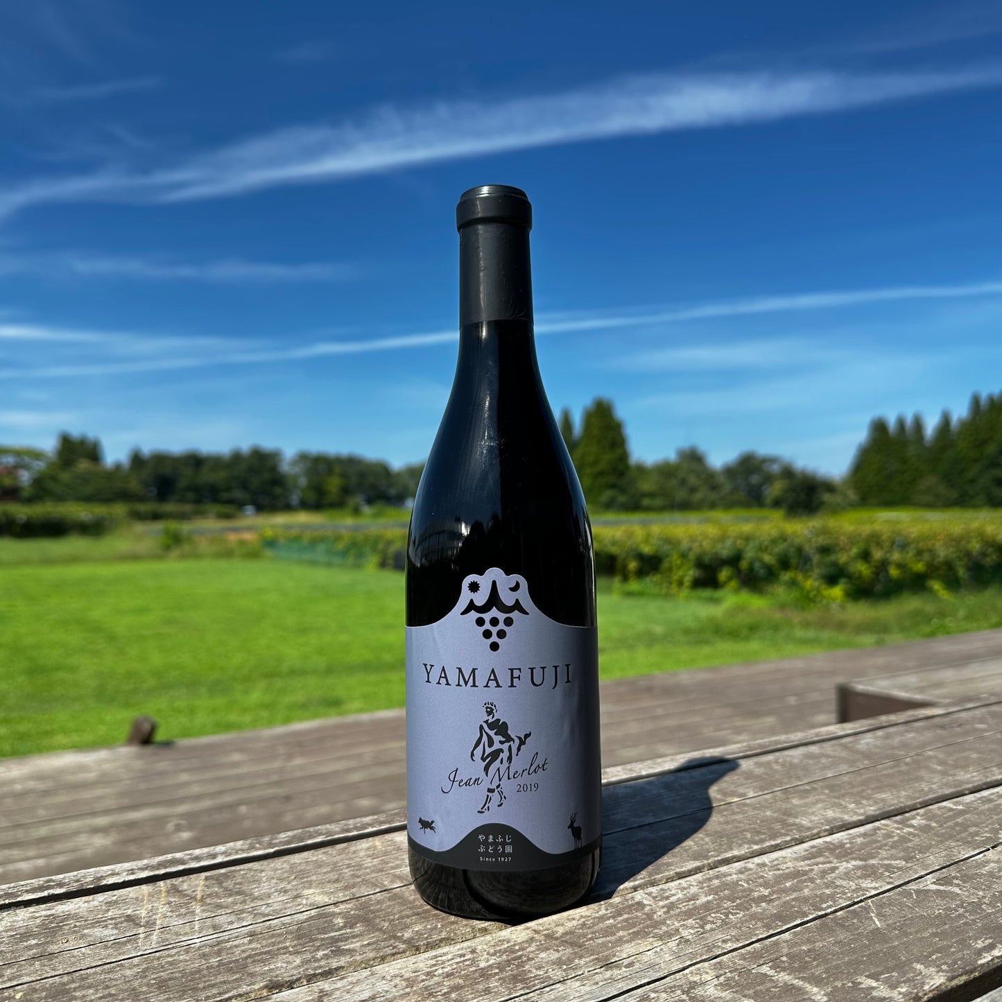 YAMAFUJI ジャンメルロー2019