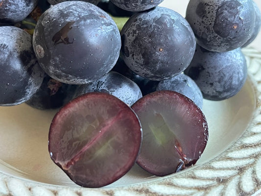 8月下旬より販売開始!ぶどう詰め合わせ