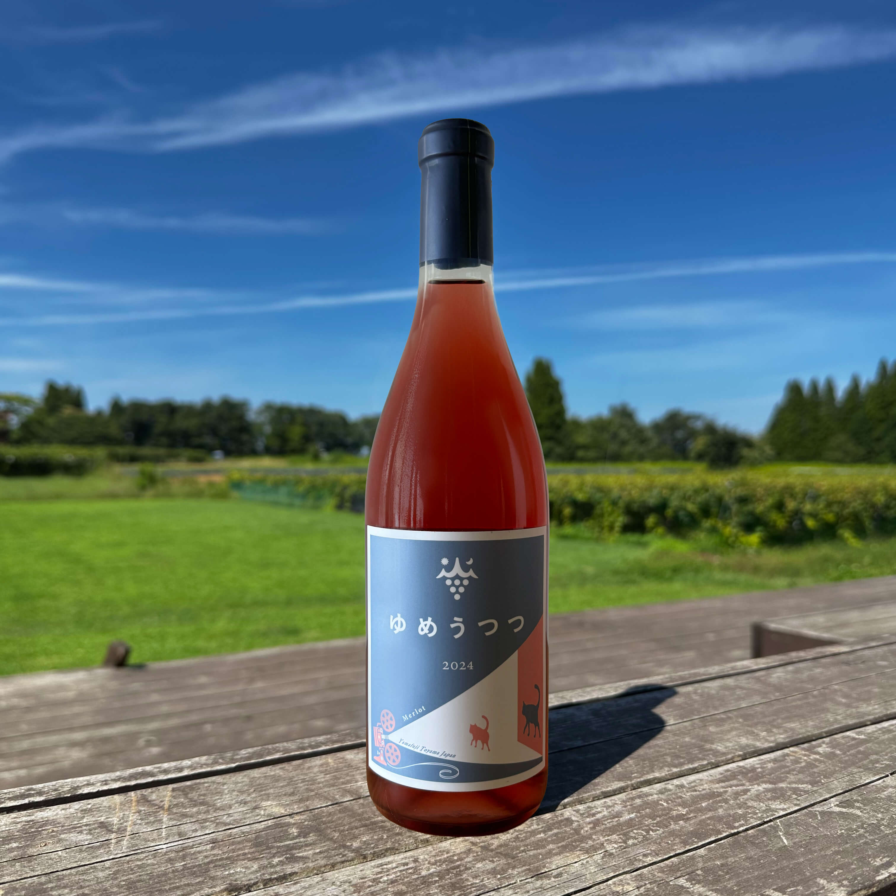 山葡萄 全てのワイン – やまふじぶどう園shop / Yamafuji Winery shop