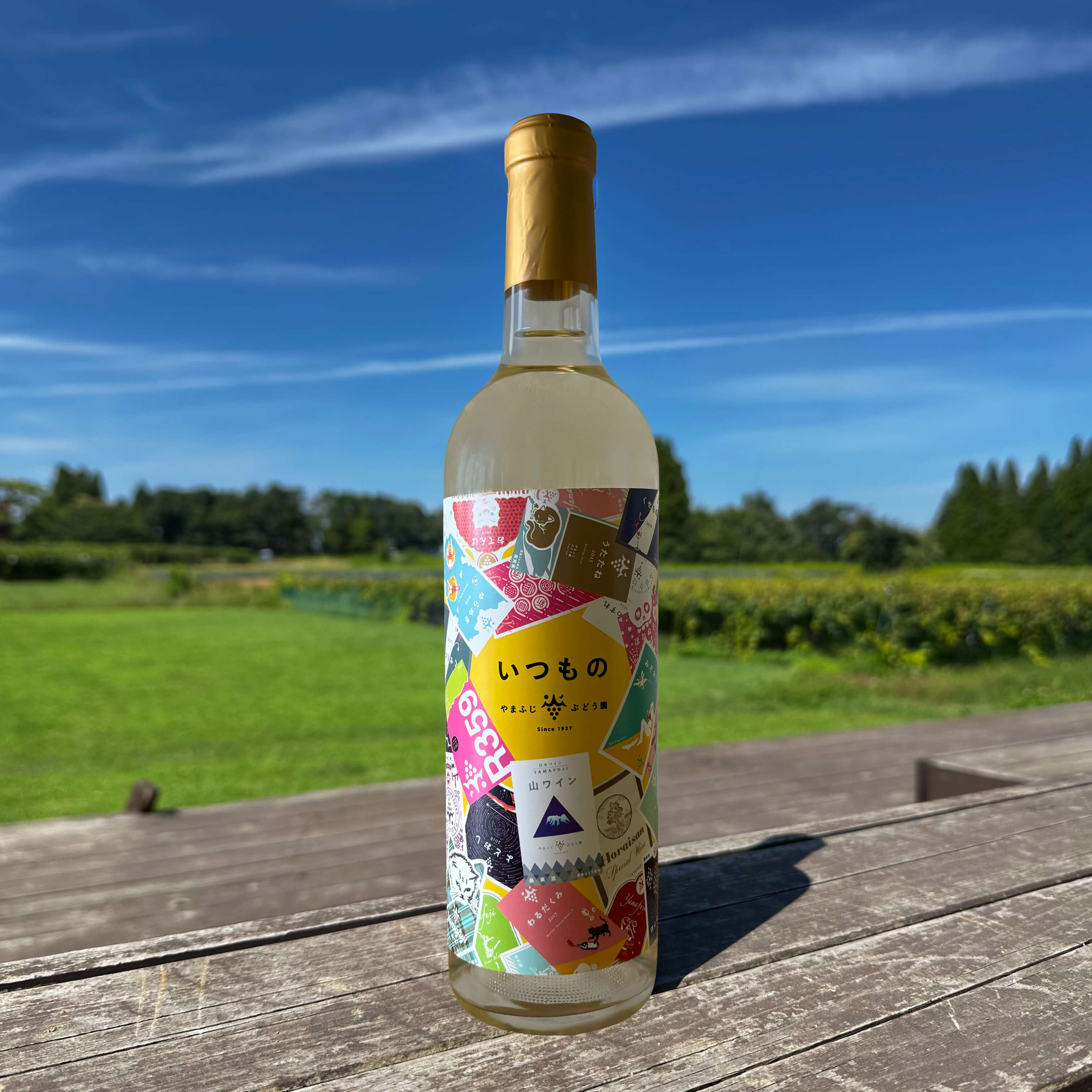 いつもの 2025（白） – やまふじぶどう園shop / Yamafuji Winery shop