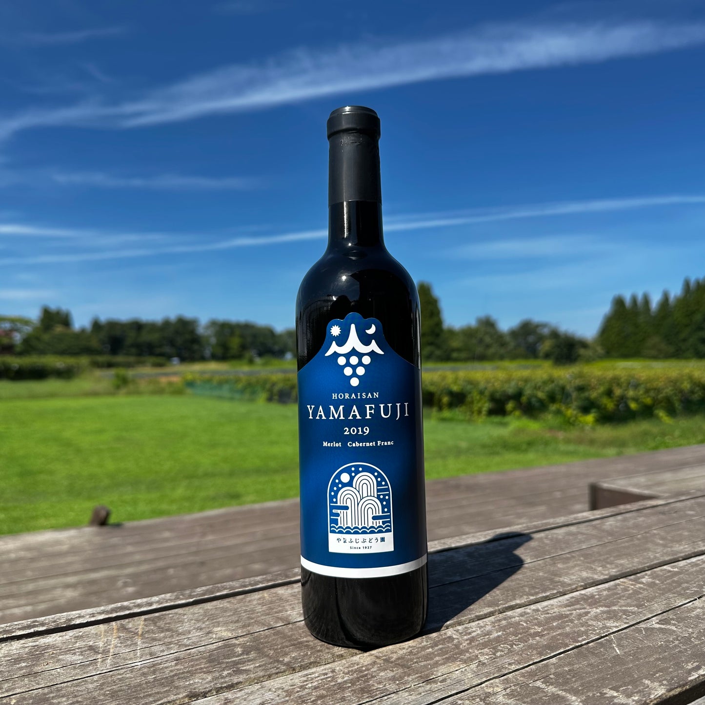 YAMAFUJI 2019 （赤）