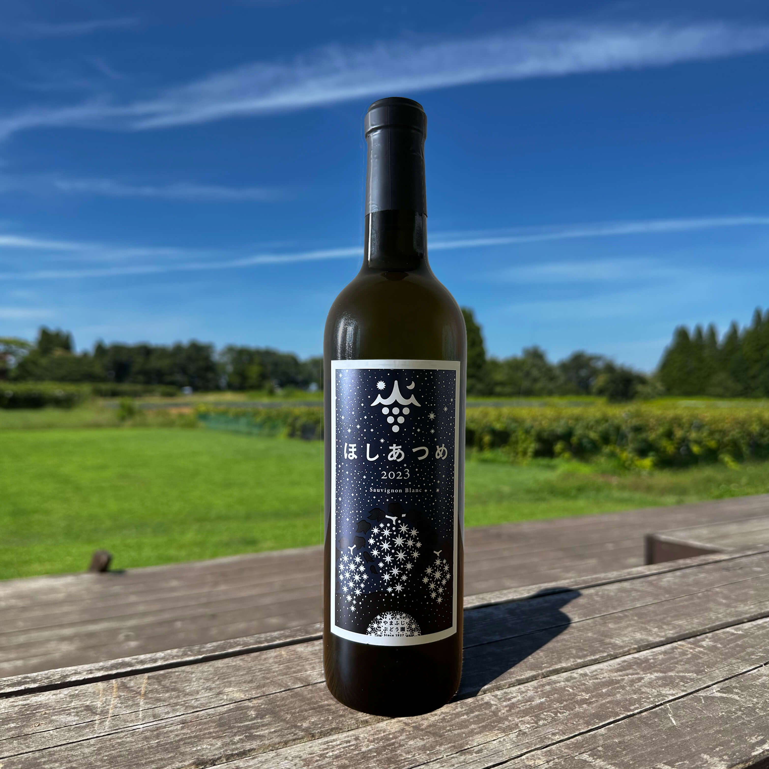 山葡萄 全てのワイン – やまふじぶどう園shop / Yamafuji Winery shop